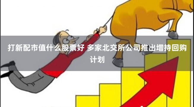 打新配市值什么股票好 多家北交所公司推出增持回购计划