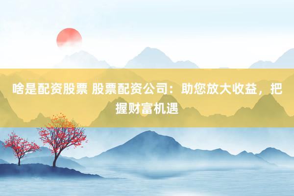 啥是配资股票 股票配资公司：助您放大收益，把握财富机遇