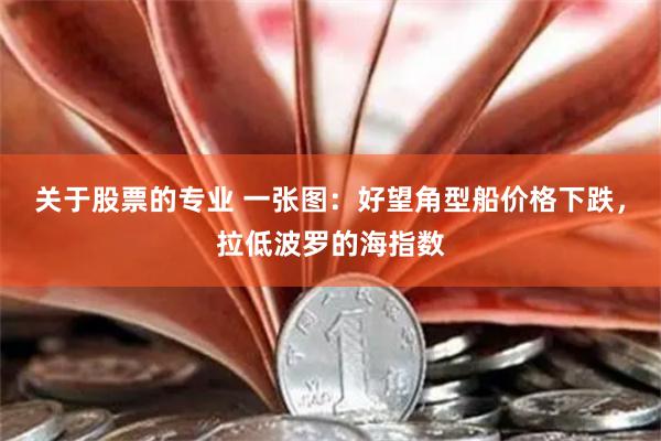 关于股票的专业 一张图：好望角型船价格下跌，拉低波罗的海指数